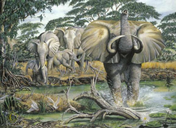 Unrest on the Serengeti elephants